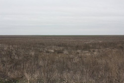 Property photo 12 - Kansas Land Auction - 960 Acres - 7 Farms in 3 Counties